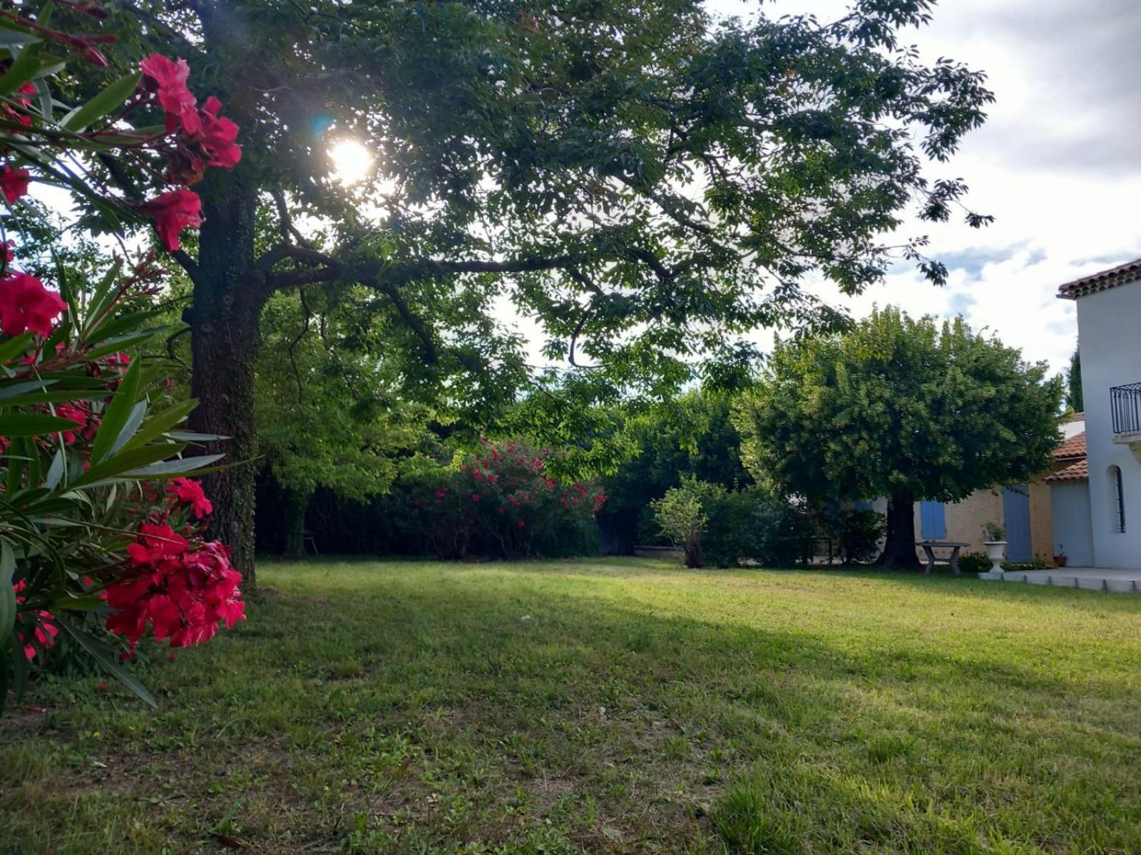 Le Petit Mas Des Alpilles En Provence Villa Saint-Étienne-du-Grès Eksteriør bilde